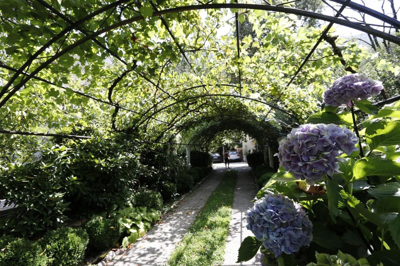 Villa D'Amore Montenegro Дони-Моринь Экстерьер фото